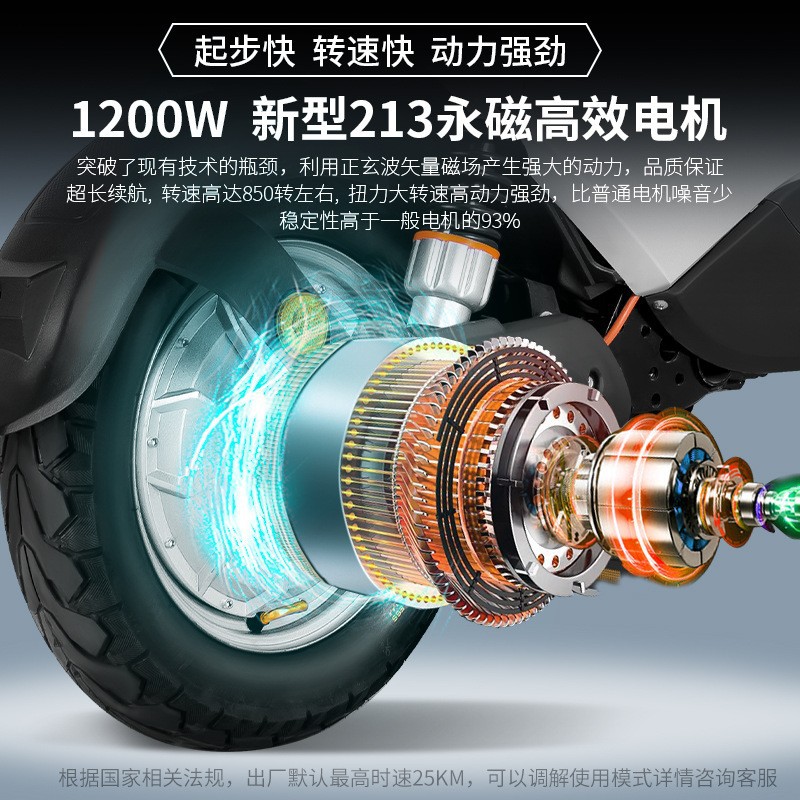 Love Yue Electric Car Manufacturers Wholesale New National Standard 48V Lithium Battery Electric Bicycle King Takeaway Electric Bike Specification drawing
