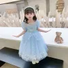 Princess Elsa's 2024 summer new girls' dress, Princess Elsa's tulle Children's Day performance dress trend details Picture