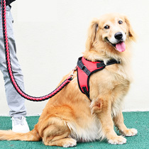 Amazon pet supplies dog leash dog rope chest strap Golden retriever medium and large dog pet supplies wholesale