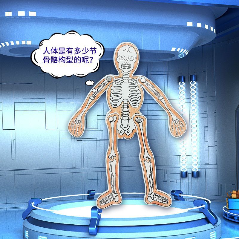 身体里的骨骼实验小学生科学实验器材DIY模型幼儿园科技小制作教