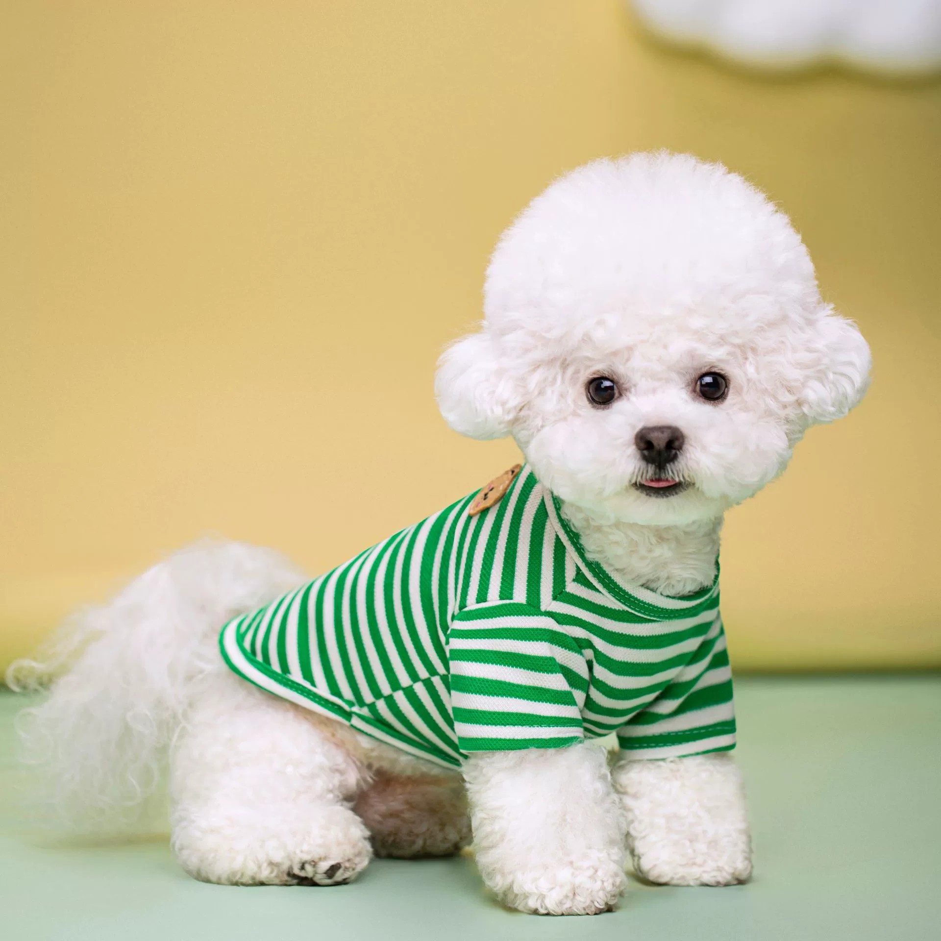 Wholesale of new spring and summer striped striped T-shirts for pet dogs and small and medium-sized dog clothes Specification image