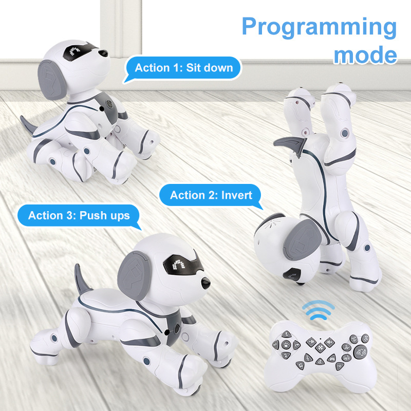 Cross-border exclusive children's remote control touch-sensing dancing story pet electric dog bionic smart toy robot dog Huaixing 1122 Application Scenario