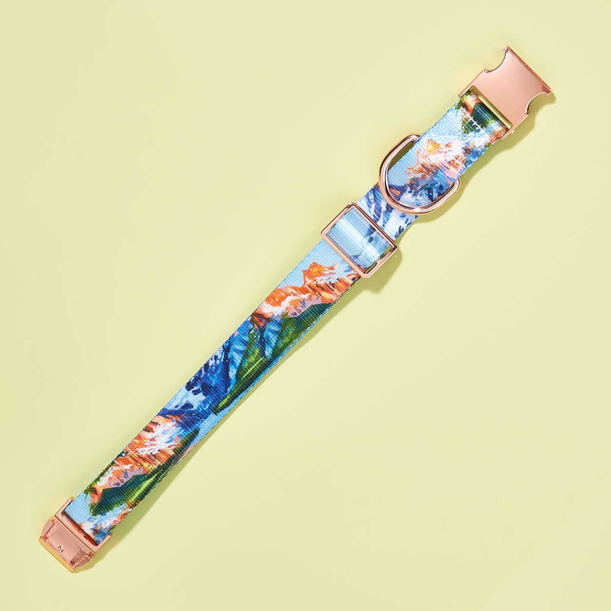 宠物项圈/宠物服装用品/宠物围脖/狗环/宠物梳细节图