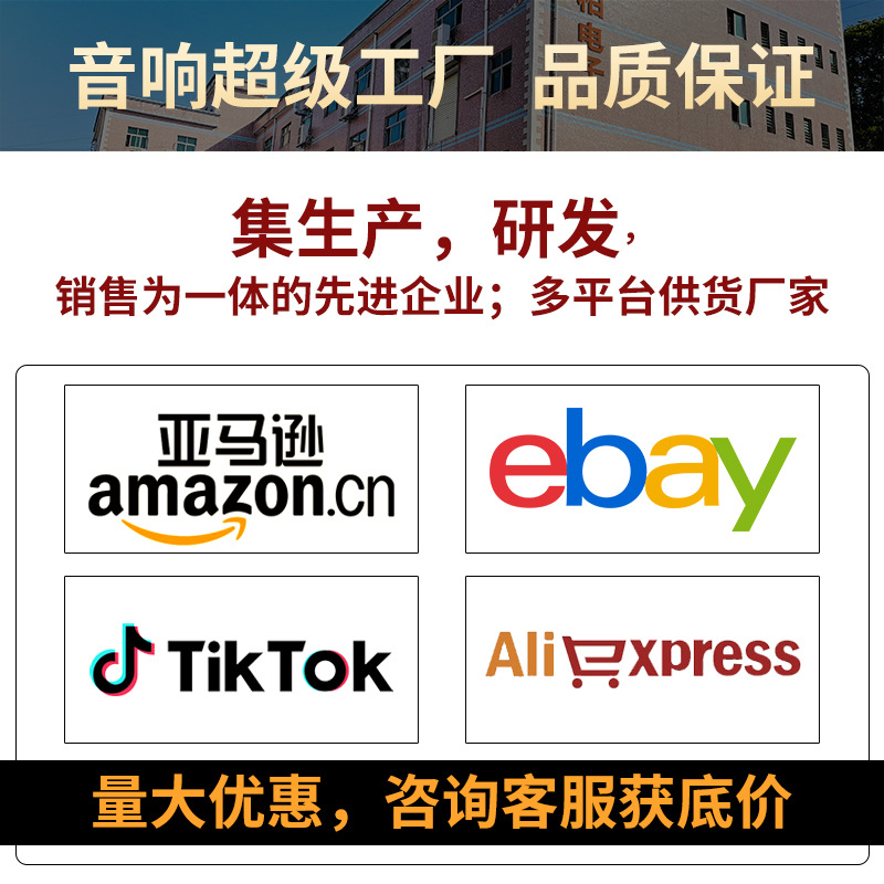 定制P2无线蓝牙音响家庭ktv话筒一体麦克风组合手机K歌神器专用细节图