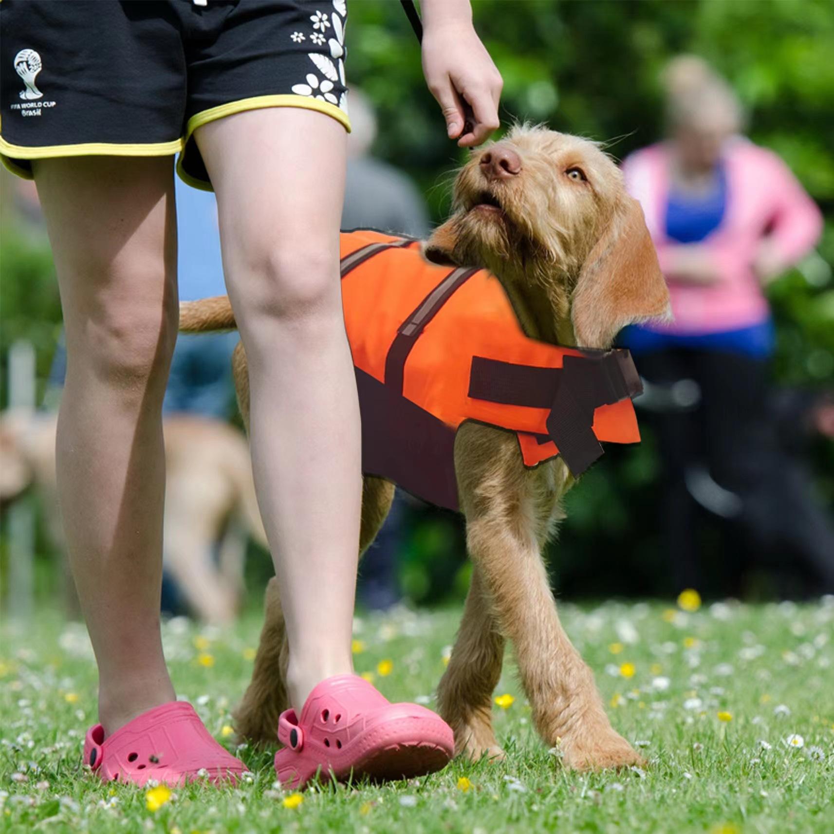 Amazon Hot Pet Swimsuit Dog Life Jacket Water Buoyancy Clothing Cross-Border Wholesale Application Scenario