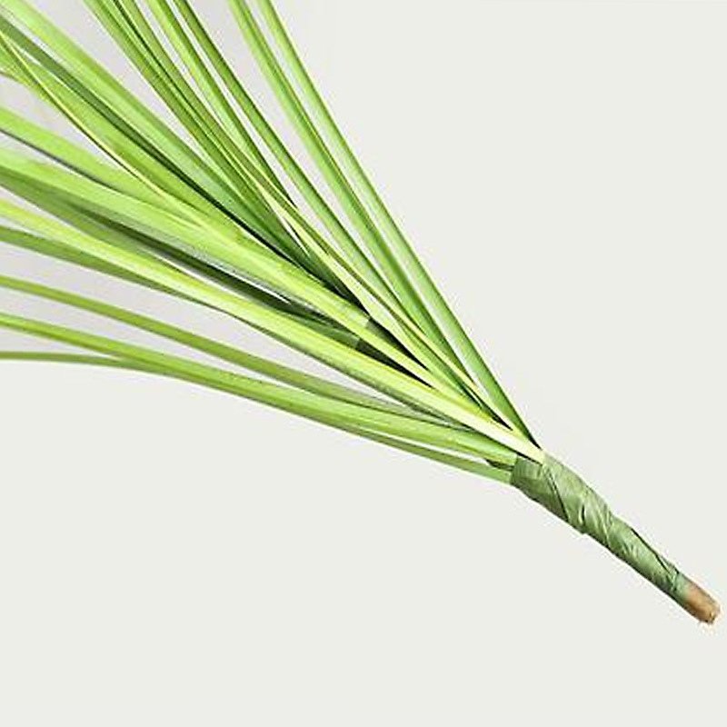 Nordic Ins Style Home Simulation Single Pussyweed Indoor Simulation Plant Wall Simulation Green Onion Grass Fake Flowers Application Scenario