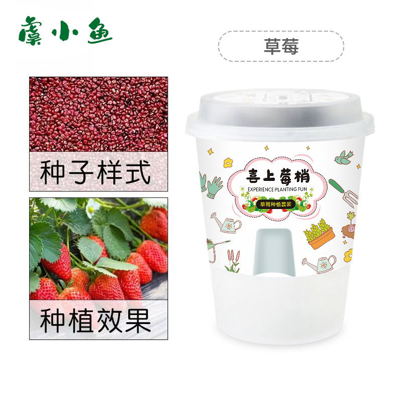 import白底实物图