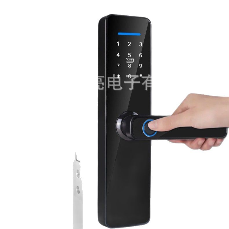 import白底实物图