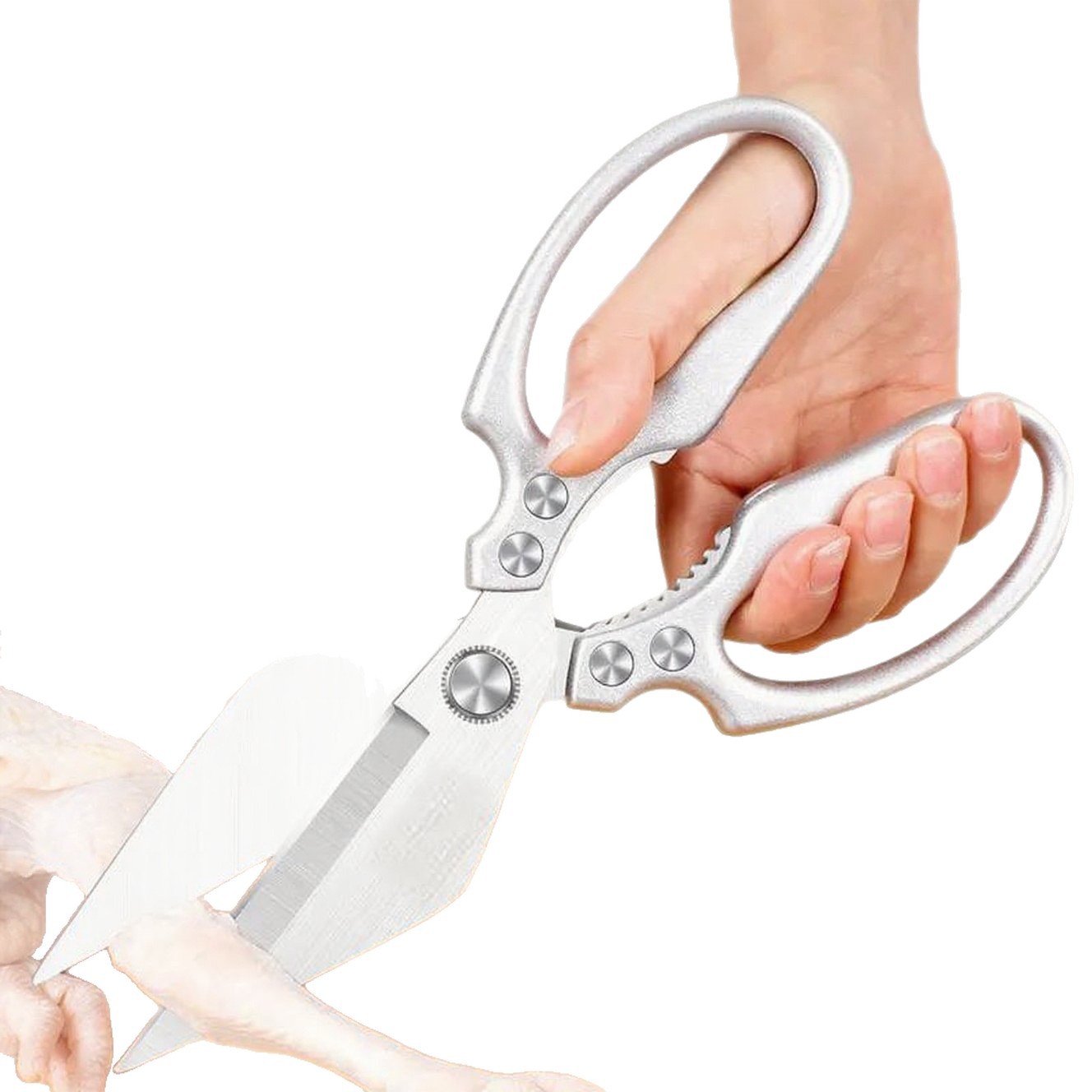 import白底实物图