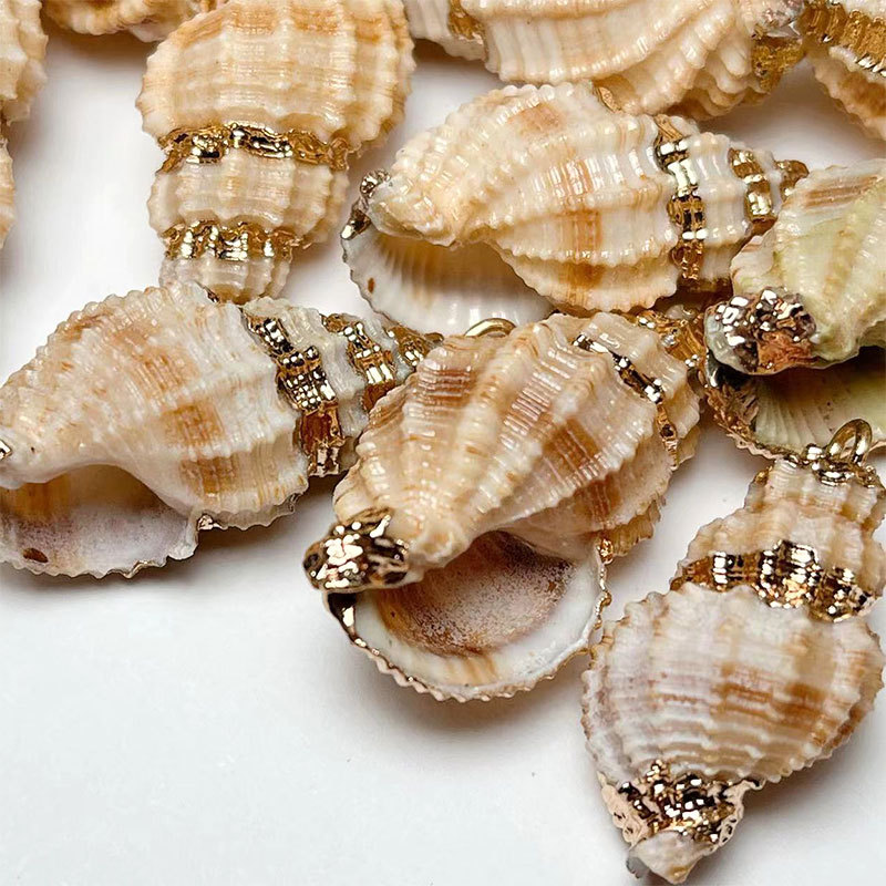 New best-selling Marine shell and conch pendants wholesale factory direct sales, natural gold-rimmed yellow rice conch details Picture