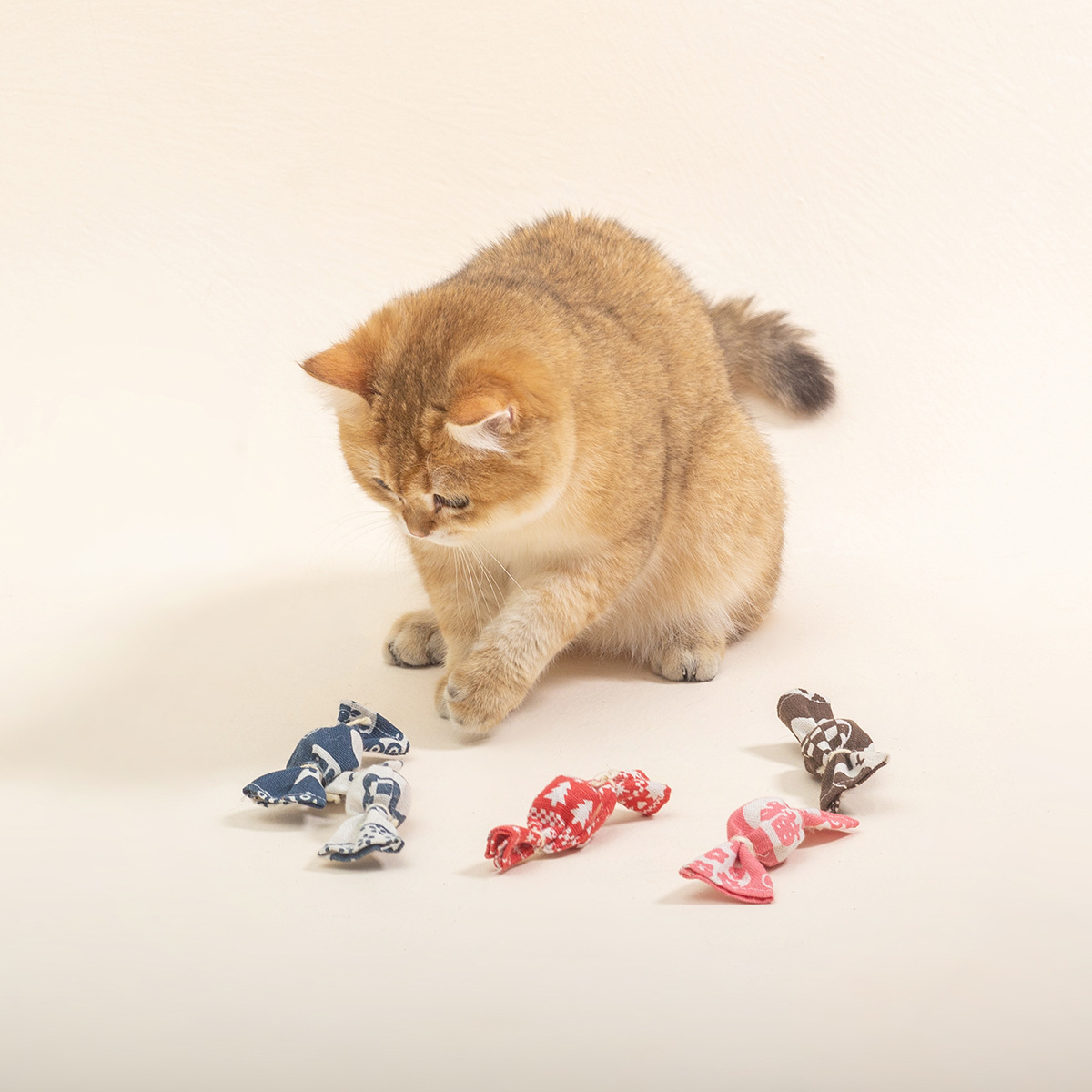 新款猫玩具 精美糖果内含铃铛猫薄荷  猫猫啃咬互动玩具宠物用品