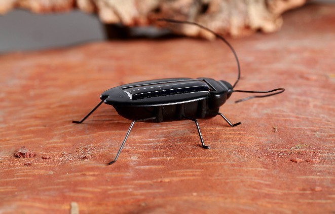 Direct For Children's Toys Solar Toy Cockroach Small Strong Children's Toys Science Experiment Explore Creative Gifts Application Scenario