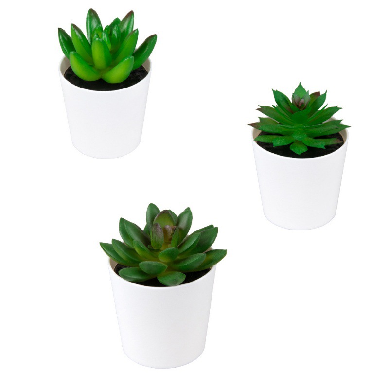 Flocked hard material, small aloe vera, mini potted plant, imitation plastic, frosted small potted plant, desktop decoration, gift, imitation succulent Specification image
