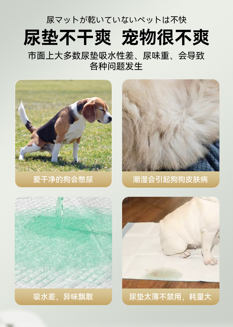 宠物尿垫山茶花留香尿垫加厚除臭狗狗尿不湿尿垫猫咪吸水尿片尿垫详情4