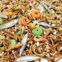 Hamster mixed grain seafood grain fruit and vegetable grain grain full grain grain Golden silk bear food bulk wholesale