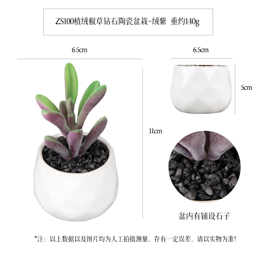 Amazon flocking succulent ceramic pot 6-piece Home Decoration simulation plant succulent bonsai set Application Scenario