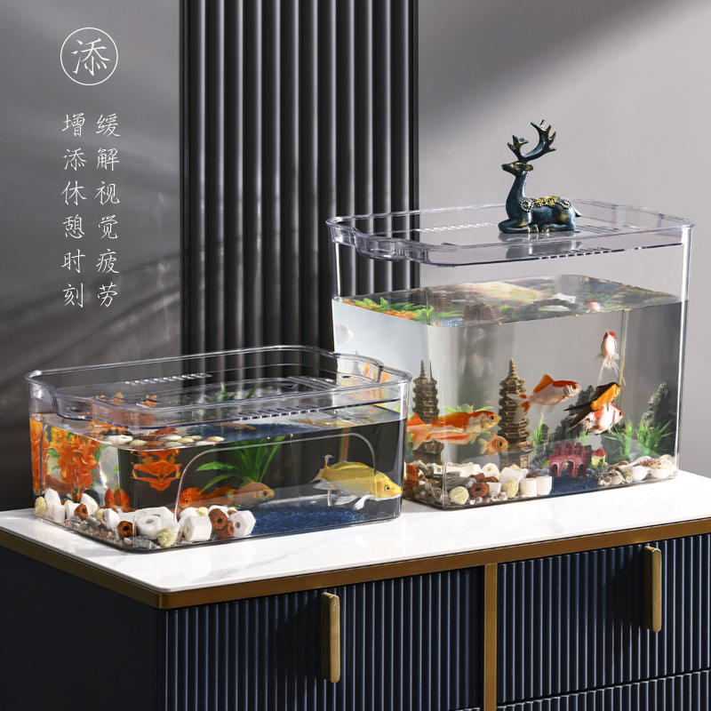 Ecological betta fish tank, home aquarium, transparent goldfish tank, living room mini small and medium-sized desktop aquatic plant tank, turtle tank