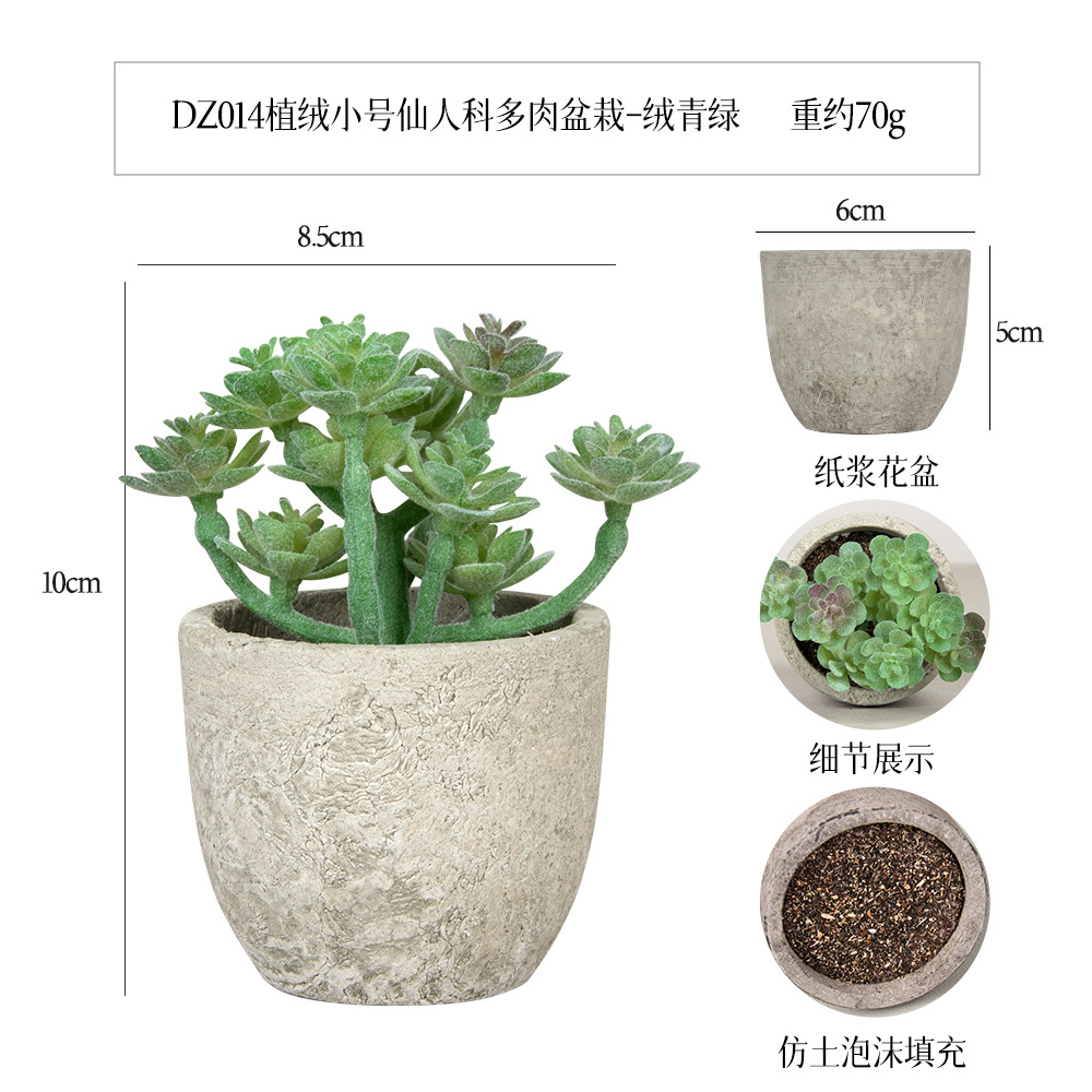 Amazon Simulation Succulent Pulp Pot 6-piece Home Decoration simulation Plant succulent bonsai set details Picture