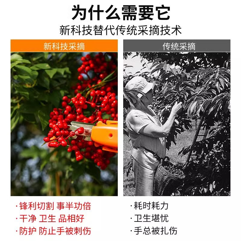 缝大剪刀/剪刀/美容剪刀/学生用品/剪刀剪布细节图