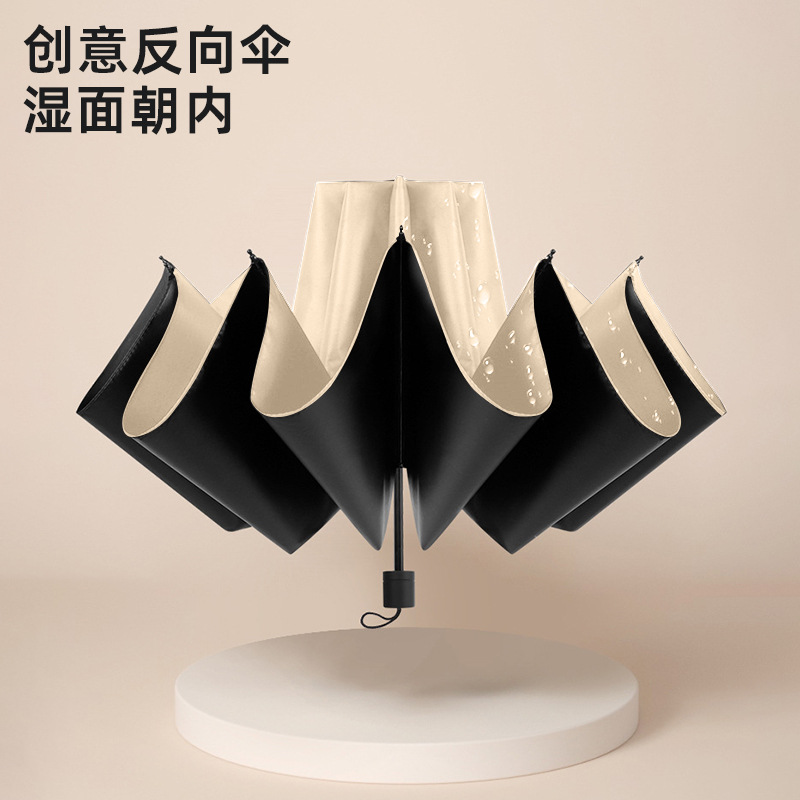 雨伞/自动伞/雨衣雨伞/自动折叠超大伞/星宝伞细节图