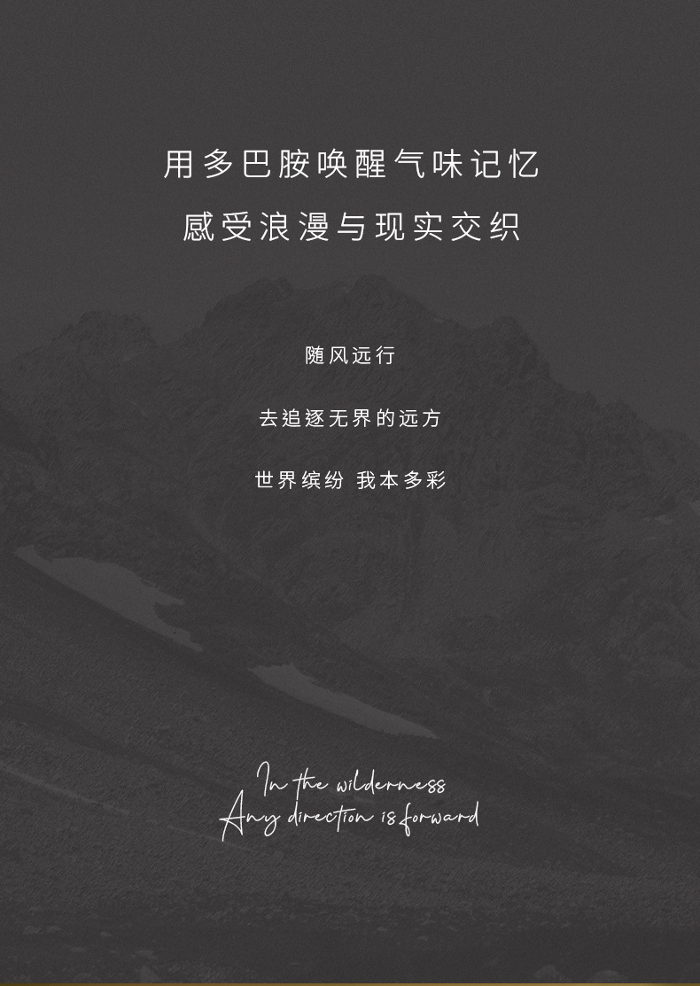 扩香石香薰晶石 酒店卧室持久扩香香薰精油 无火香薰精油扩香晶石详情5