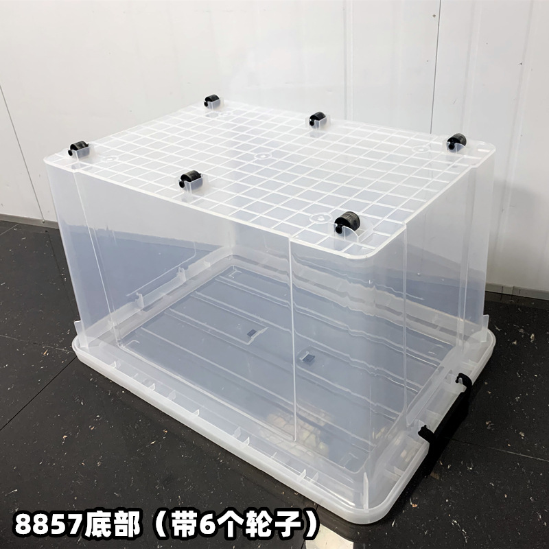 import细节图