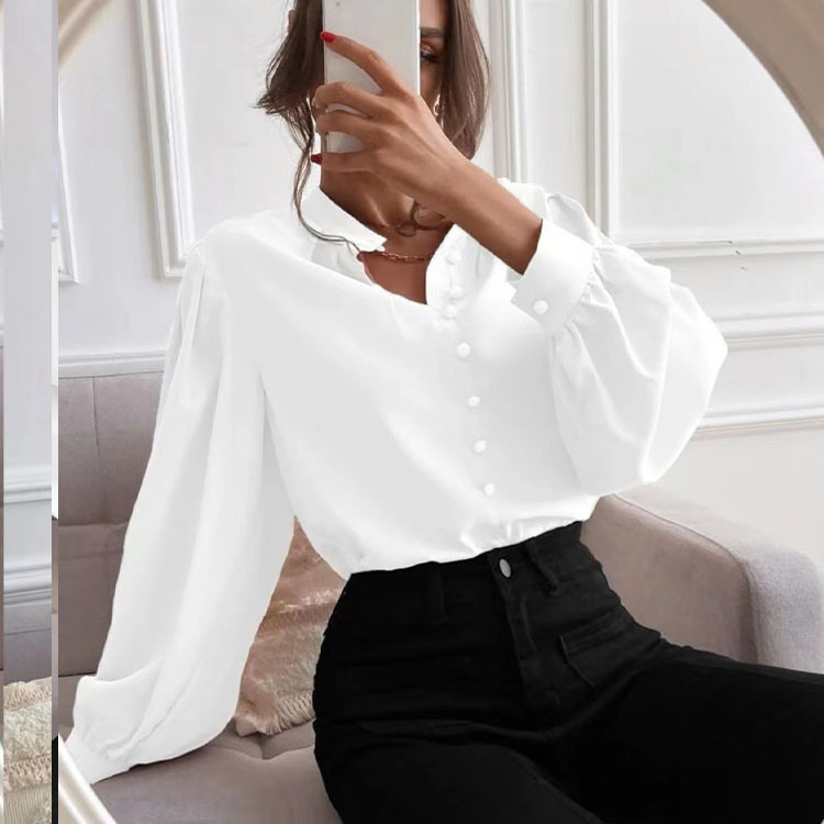 In the spring of 2025, a new elegant solid-color lapel long-sleeved single-breasted loose women's blouse and shirt for European and American foreign trade Application Scenario