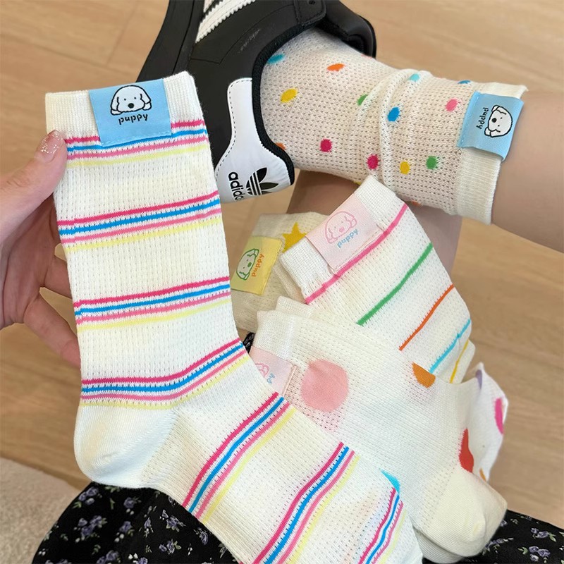 袜子地摊一件代发多巴胺 袜子彩色波点条纹中筒袜棉袜春夏季薄款网眼透气布标长袜一件代发