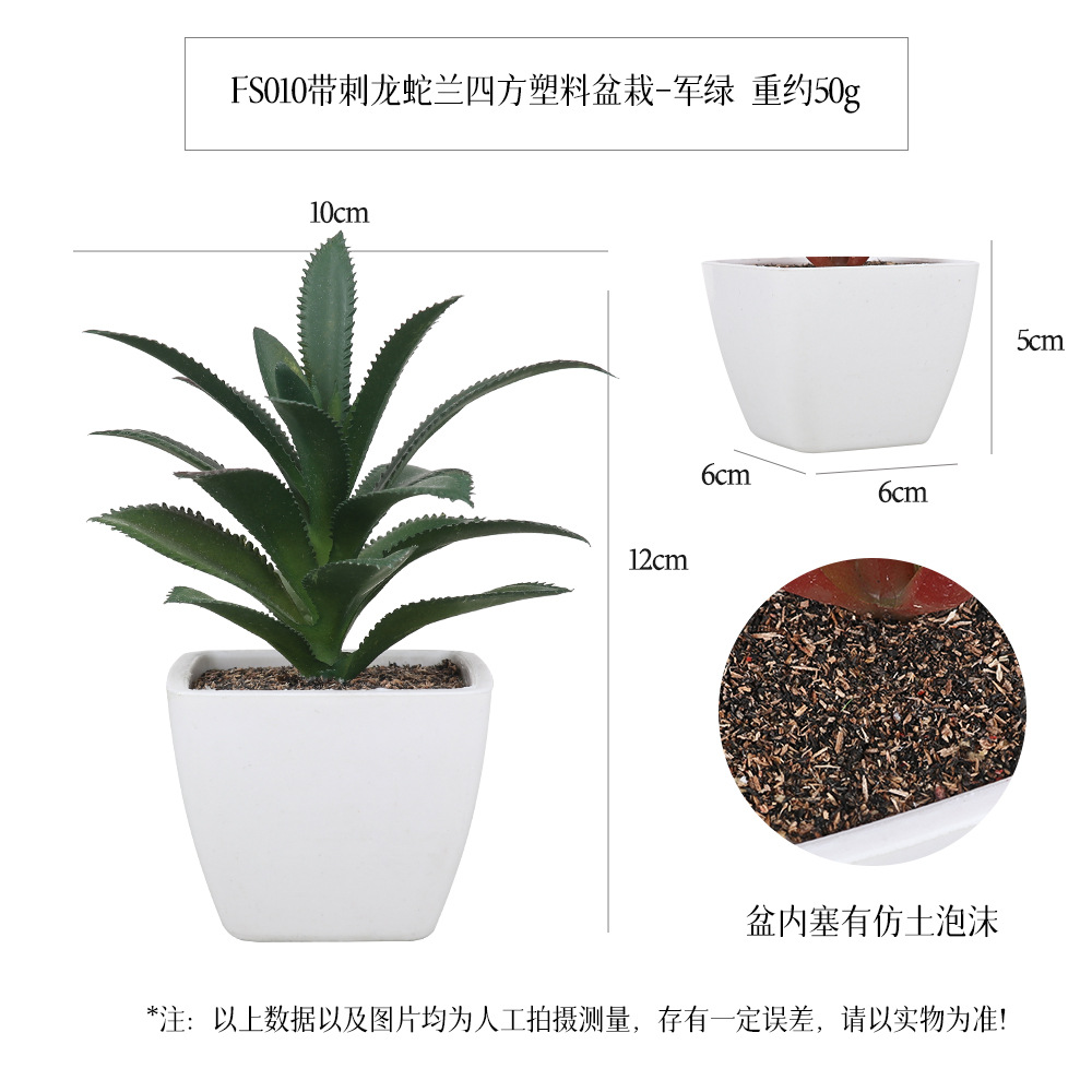 Amazon Succulent square plastic pot 6-piece home decoration plant succulent bonsai set Application Scenario