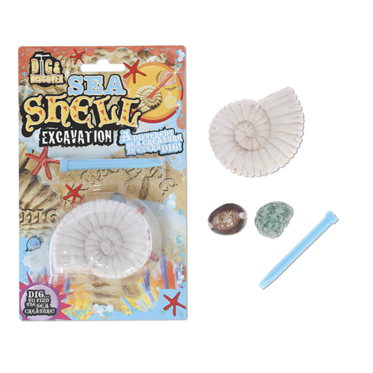 Cross-border Marine natural coral, shell, dinosaur excavation, pirate treasure chest, skull archaeological excavation, children's toys Application Scenario