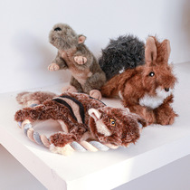 Pet toy sound toy plush dog interactive leisure sound toy squirrel Frisbee sound toy wholesale