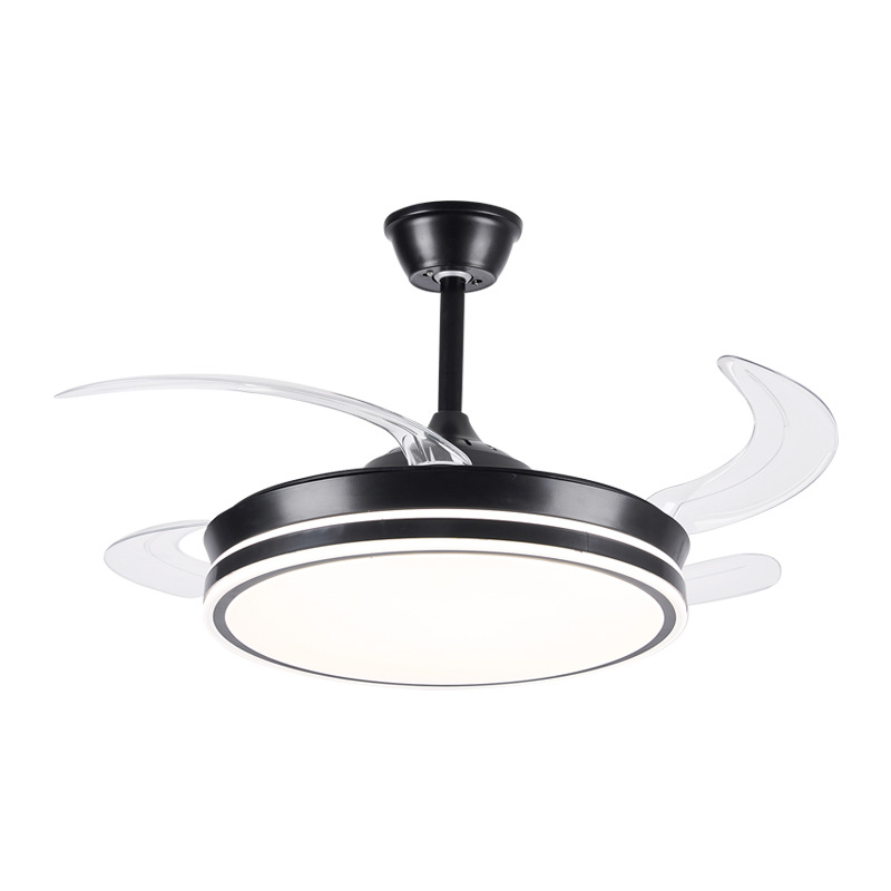 import白底实物图