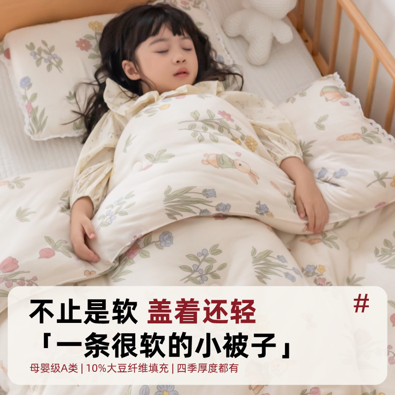 儿童春秋被宝宝幼儿园午睡专用小被子秋冬季加厚保暖a类棉被被芯