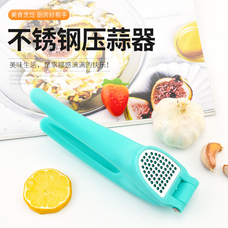 Stainless steel garlic press plastic handle garlic press household manual garlic blender Kitchen gadget garlic puree press details Picture