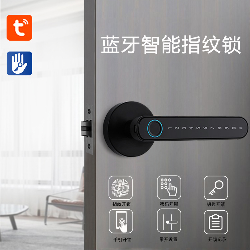 Smart Fingerprint Lock Manufacturers Support Graffiti All Smart Lock Apartment Home Anti-Theft Password Door Fingerprint Lock Specification drawing