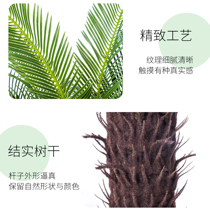 仿真植物实物图