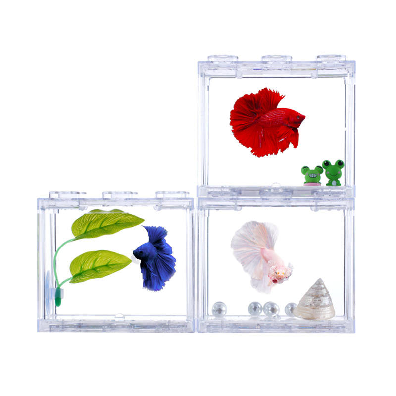 Mesa de peces peces de combate tailandés pequeños peces ornamentales animales vivos superposición de lego bloques de construcción tanque de 6 agujeros alto transparente Item Picture