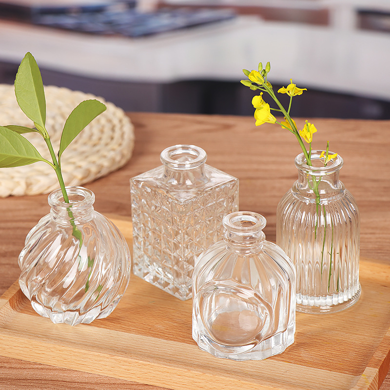 Nordic Ins Wind Glass Vase Creative Simple Vase Decoration Home Decoration Desktop Green Straw Hydroponic Plant Bottle Application Scenario