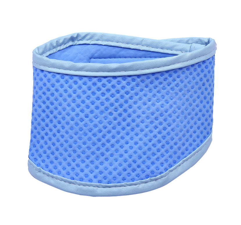 Manufacturers pet cooling collar Dog cat collar Summer cooling product Amazon pet ice collar Specification drawing