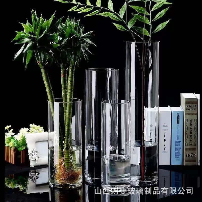 Large Transparent Straight Glass Vase Wholesale Living Room Floor Rich Bamboo Flowers Hydroponic Flower Decoration Ins Wind Application Scenario