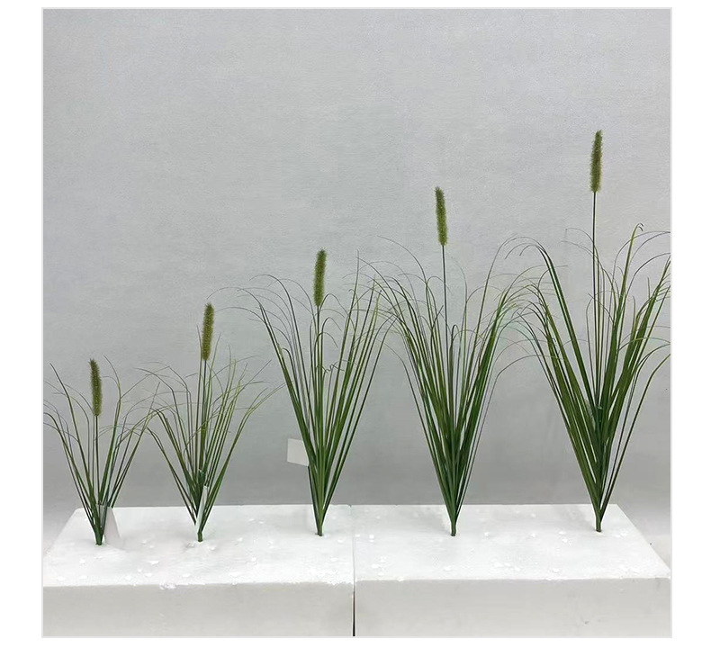 绿植蒲苇草单支狗尾巴芦苇植物墙造景庭院工厂直批现货直发仿真详情14