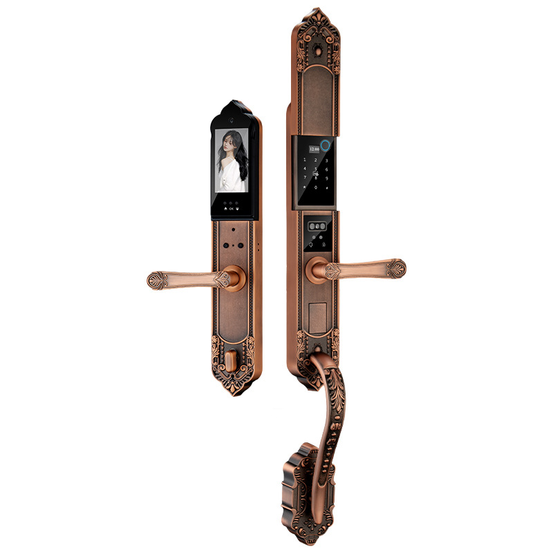 Waterproof, frost-proof, sun-proof, outdoor double-opening door, European-style villa, fingerprint, household, fingerprint password, smart lock, old wooden door Item Picture