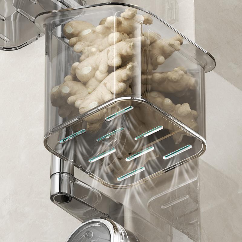 علبة شطائر الزنجبيل في مطبخ الزنجبيل والثوم بصل وثوم Specification image