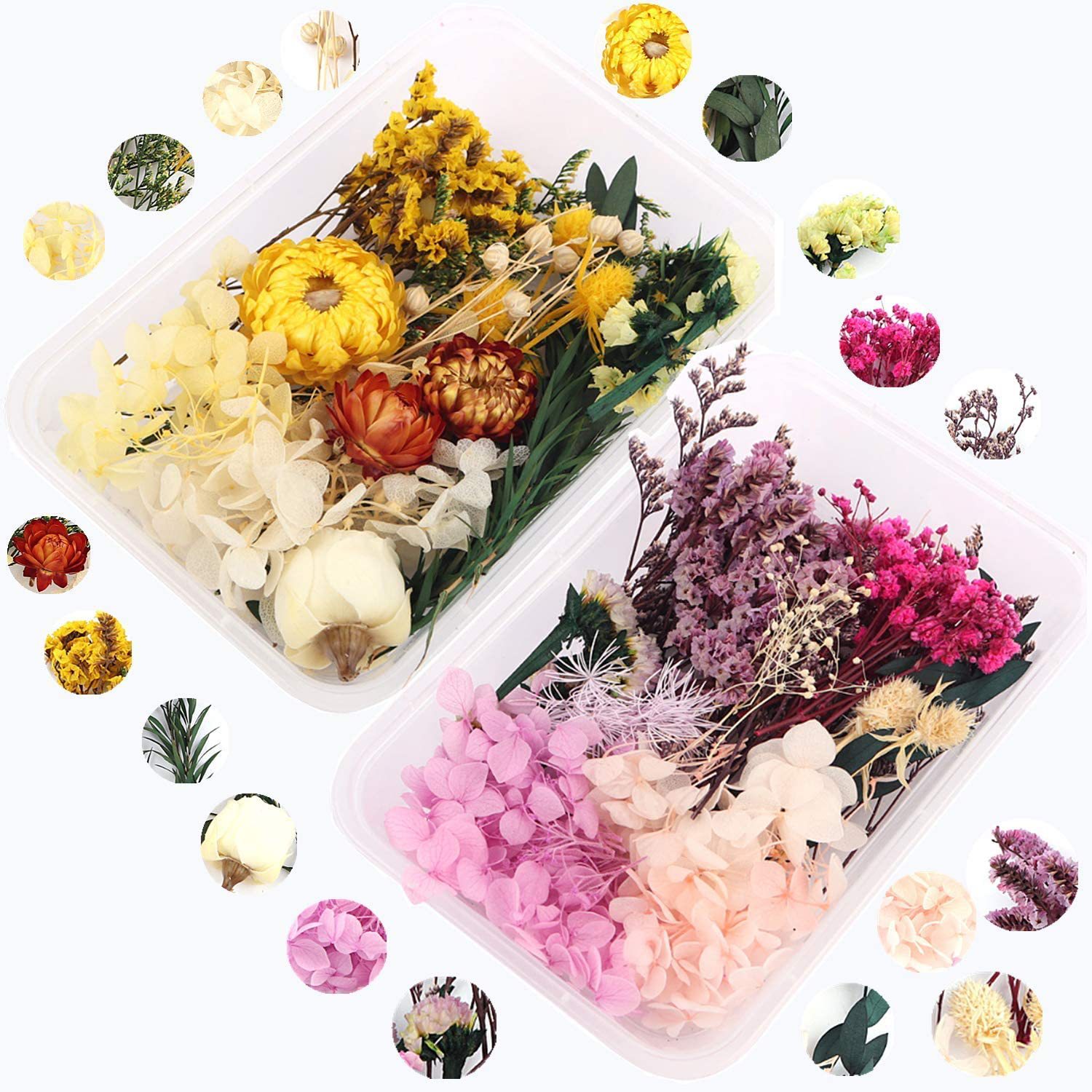 浮游花干花永生花diy滴胶香薰蜡烛相框幼儿园手工A5压押花材料包花束