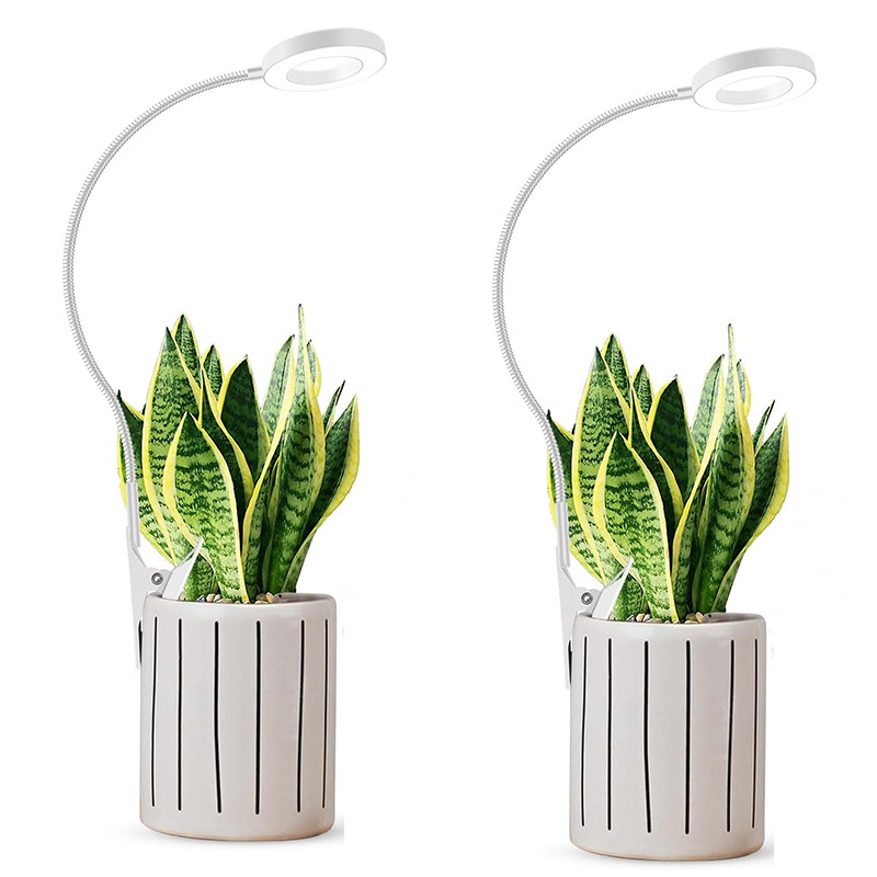 Flowerpot clamps, angel rings, plant growth lights, indoor seedling succulent supplementary lighting lights, LED full-spectrum plant lights Item Picture