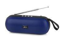 R1 Africa foreign trade factory external battery mini portable wireless Bluetooth speaker radio Bluetooth stereo