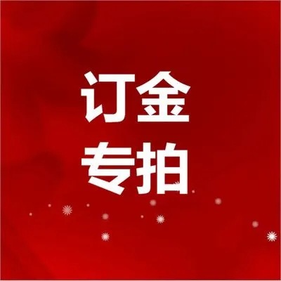 连衣裙2