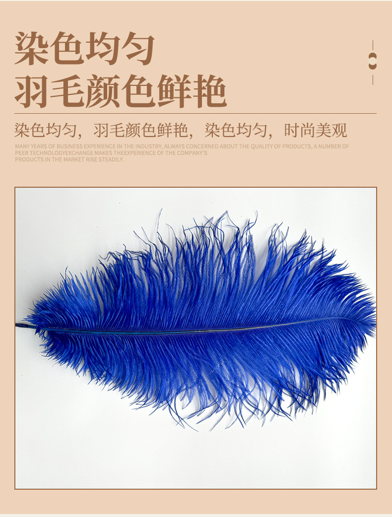 厂家直销15-80cm鸵鸟毛舞台布置真羽毛发夹装饰插花婚庆布置羽毛详情8