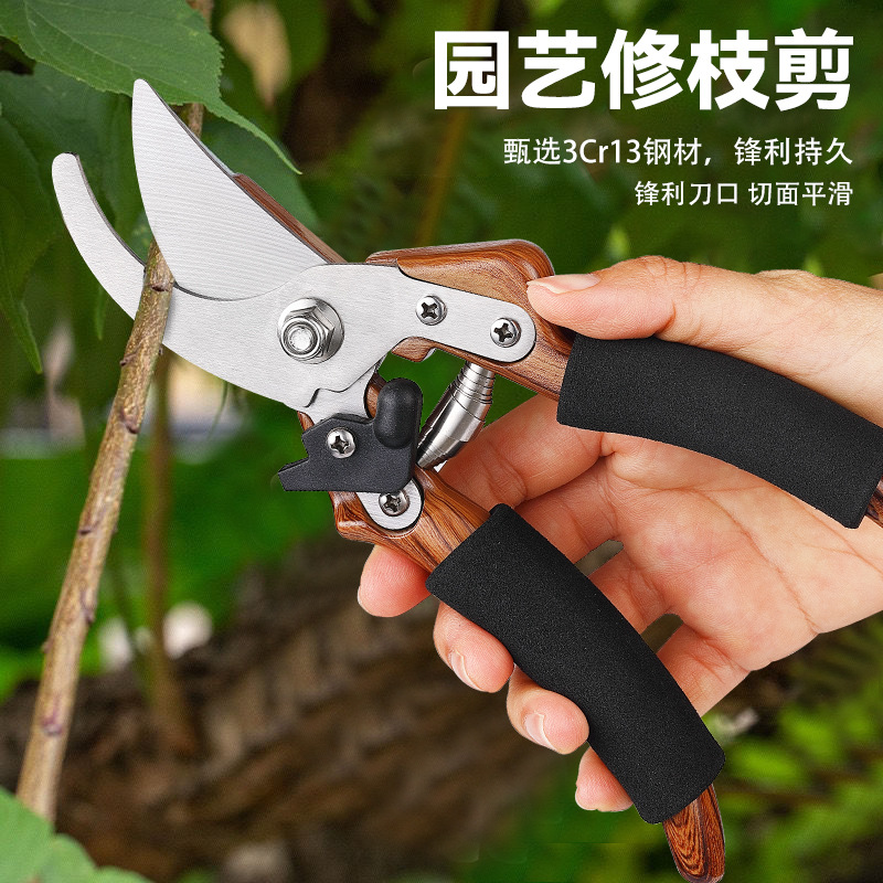 园艺剪刀剪果树修枝剪园林粗枝剪园林果枝嫁接剪园林专用工具批发