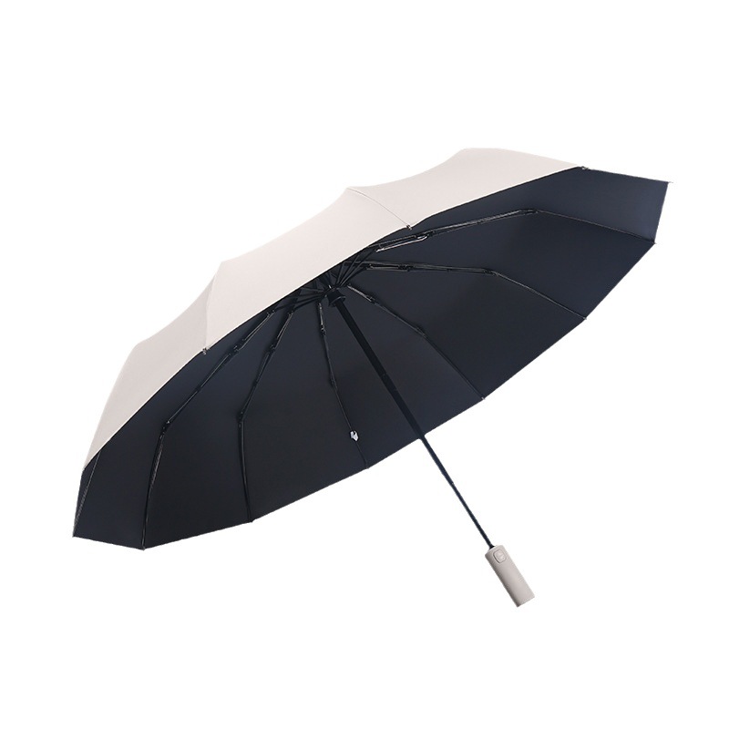 import白底实物图